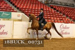 18BUCK_00731 thumbnail