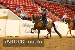 18BUCK_00761 thumbnail