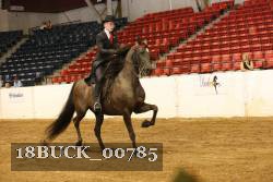 18BUCK_00785 thumbnail