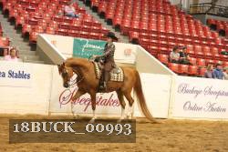 18BUCK_00993 thumbnail
