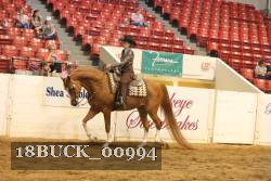 18BUCK_00994 thumbnail