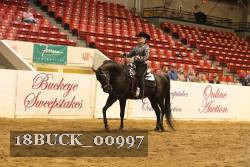 18BUCK_00997 thumbnail