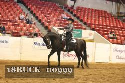 18BUCK_00999 thumbnail