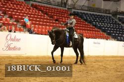 18BUCK_01001 thumbnail
