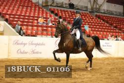 18BUCK_01106 thumbnail
