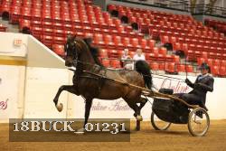 18BUCK_01231 thumbnail