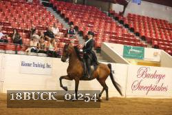 18BUCK_01254 thumbnail
