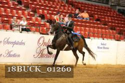 18BUCK_01260 thumbnail