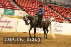 18BUCK_01263 thumbnail
