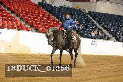 18BUCK_01266 thumbnail