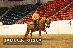 18BUCK_01267 thumbnail