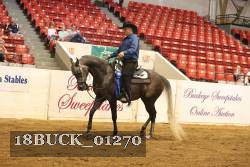 18BUCK_01270 thumbnail