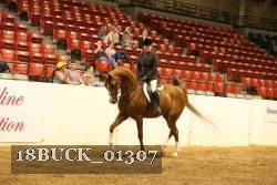 18BUCK_01307 thumbnail