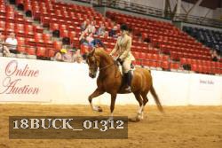 18BUCK_01312 thumbnail