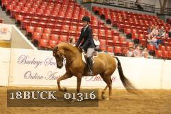18BUCK_01316 thumbnail
