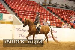 18BUCK_01318 thumbnail