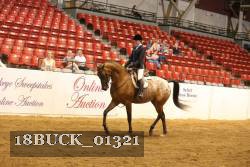 18BUCK_01321 thumbnail