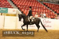 18BUCK_01323 thumbnail