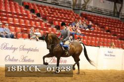 18BUCK_01328 thumbnail