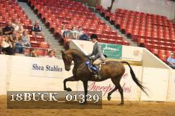18BUCK_01329 thumbnail