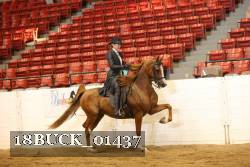 18BUCK_01437 thumbnail
