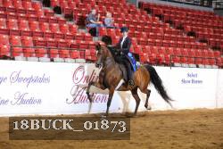 18BUCK_01873 thumbnail