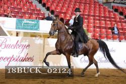 18BUCK_02124 thumbnail