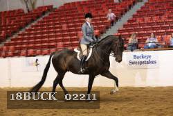 18BUCK_02211 thumbnail