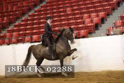 18BUCK_02288 thumbnail