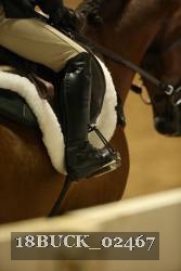 18BUCK_02467 thumbnail