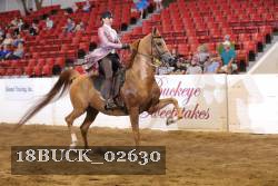 18BUCK_02630 thumbnail