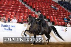 18BUCK_02835 thumbnail