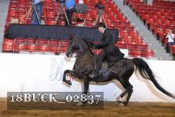 18BUCK_02837 thumbnail