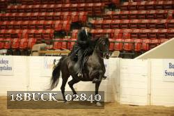 18BUCK_02840 thumbnail