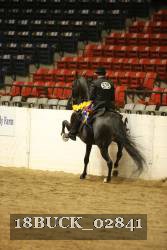 18BUCK_02841 thumbnail