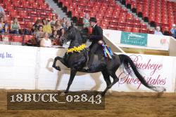 18BUCK_02843 thumbnail