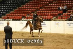 18BUCK_02865 thumbnail