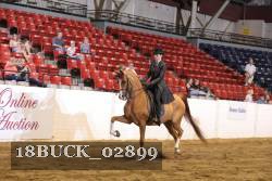 18BUCK_02899 thumbnail