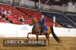 18BUCK_02903 thumbnail