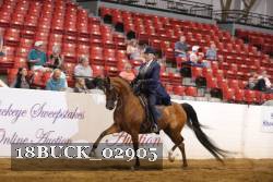 18BUCK_02905 thumbnail