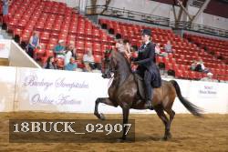 18BUCK_02907 thumbnail