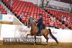 18BUCK_02911 thumbnail