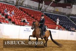 18BUCK_02912 thumbnail