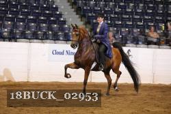18BUCK_02953 thumbnail