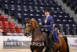 18BUCK_02954 thumbnail