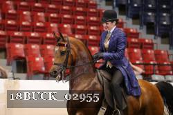 18BUCK_02955 thumbnail