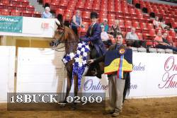 18BUCK_02960 thumbnail