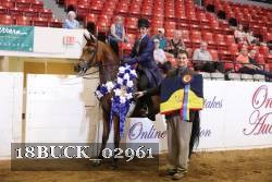 18BUCK_02961 thumbnail