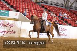18BUCK_02970 thumbnail
