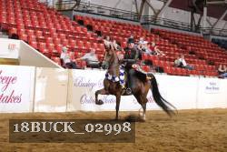 18BUCK_02998 thumbnail